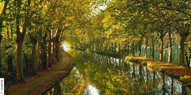 FourquessurGaronne Les petits curieux