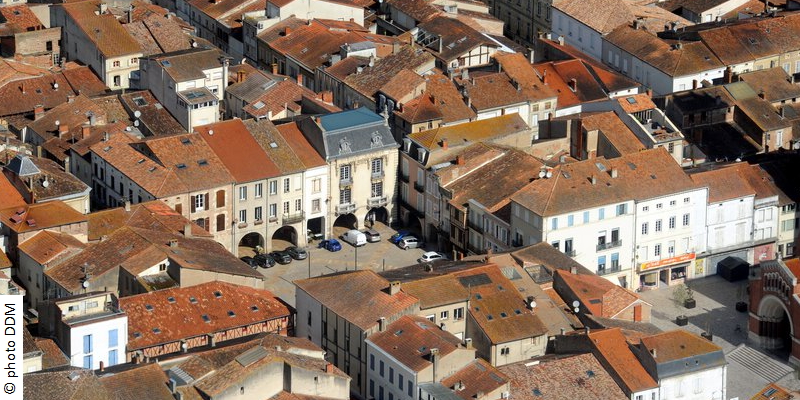 petits-curieux-depeche